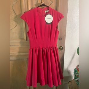 Cameo Mountain Dew Dress in Raspberry (XS)